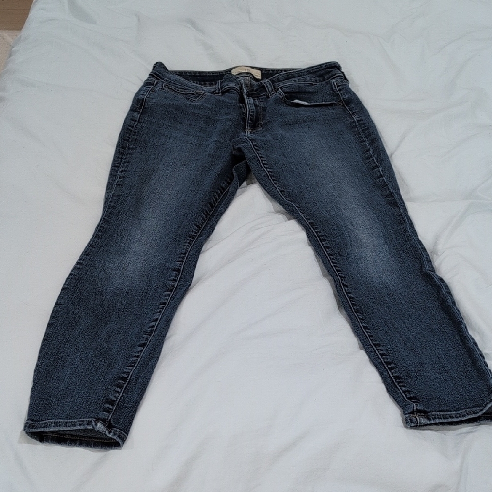 GAP Indigo Cropped Jeans